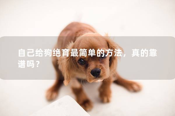 自己给狗绝育最简单的方法，真的靠谱吗？